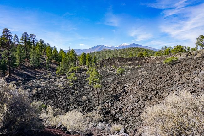 globetroteacher's tweet photo. Have you visited a National Monuments?
I visited Walnut Canyon, Sunset Crater, & Wupatki in Flagstaff & was blown away by the Native houses & why the area was the best spot for the Apollo 1 astronauts to train! 😃 #ad #visitflagstaff #Flglunarlegacy #travel @VisitFlagstaff https://t.co/85c95nBdvF