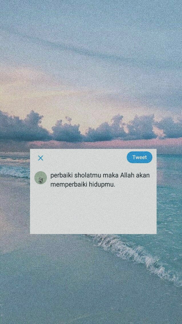 Cay tweet media