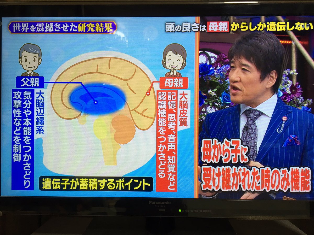 頭の良さは母親からしか遺伝しない さらに 父親の帰宅時間と子どもの学力に関する驚きの調査データ 初耳学 Togetter