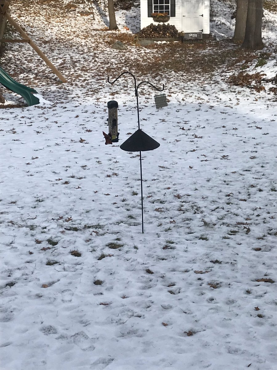 MichaelStoney's tweet photo. @GorManVrsusWild @batalis @mcauliffe_brian The most wonderful time of the year.  Happy birding season boys!  May your flock be bountiful!!! https://t.co/CDhYVJii4G