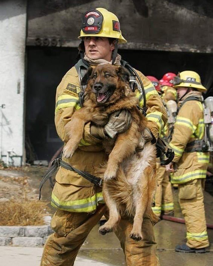 firefightersusa's tweet photo. Hats off. Retweet please🚒🚒🚒
📸DM us Firefighter Pics
👲TAG a FireFighter
👍Follow, Like, Share, Comment please 
#firefighter #firefighteronduty #firehero #firefighters #fireman #firefighterworld #femalefirefighter #firefighters_unite #firefighters_brotherhood #911firerescue https://t.co/UhA0KsNVfM
