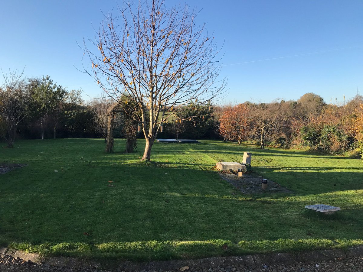 Sonny Harrington tweet media