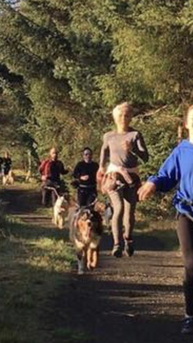 SusanMcGhee123's tweet image. Sunday equals run day and the best kind of run too, canicrossing with Cani-fit at Beecraigs Country Park. Great class, fab trails and a beautiful sunny morning...perfect way to start the day and we’ve now got two tired dogs. Sunday sorted. 🐶🐶 #canifit #canicross #runwithdogs