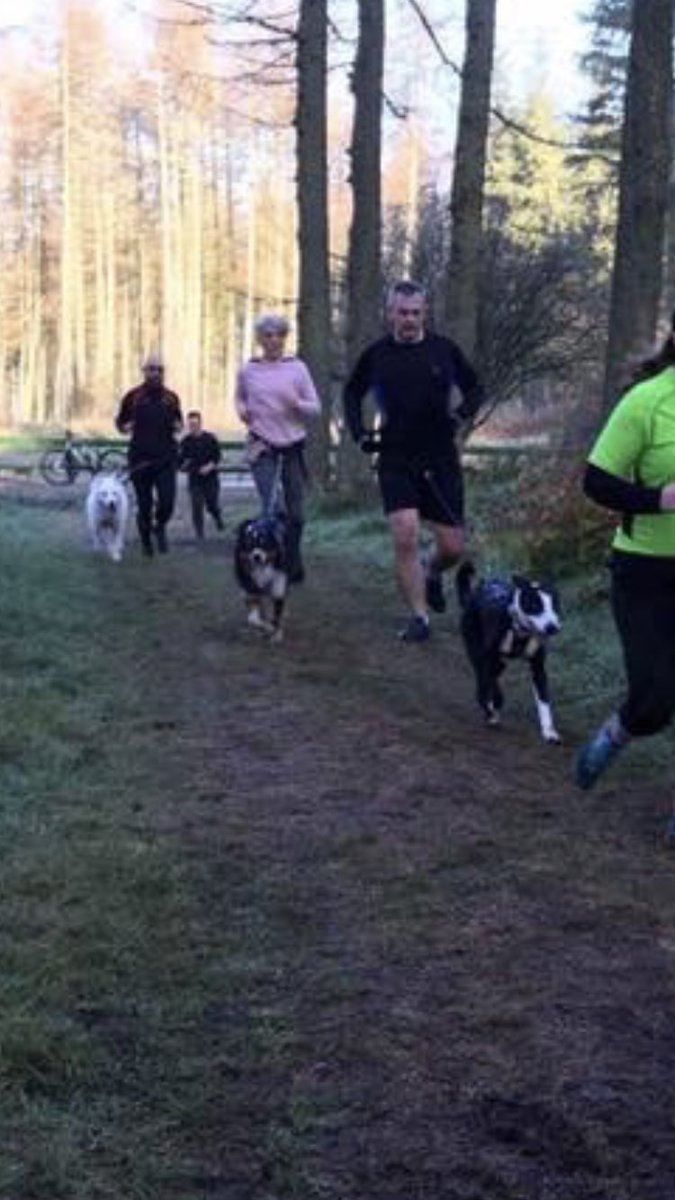 SusanMcGhee123's tweet image. Sunday equals run day and the best kind of run too, canicrossing with Cani-fit at Beecraigs Country Park. Great class, fab trails and a beautiful sunny morning...perfect way to start the day and we’ve now got two tired dogs. Sunday sorted. 🐶🐶 #canifit #canicross #runwithdogs