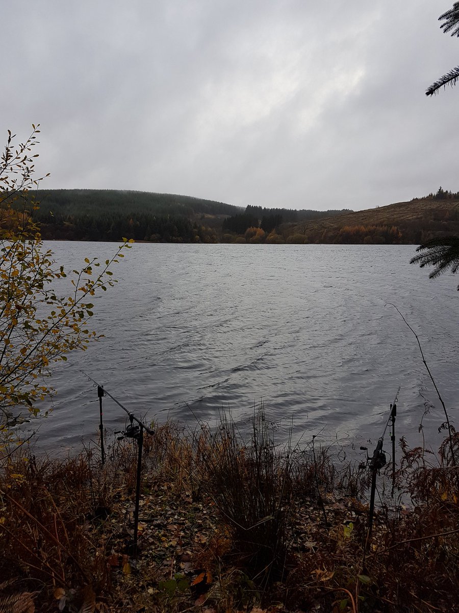 ChrisPiepiker's tweet photo. Yesterday's Swim..
7 takes. 5 fish..
#singlehook👍👍🎣🎣 https://t.co/tGQ3wdsEVX