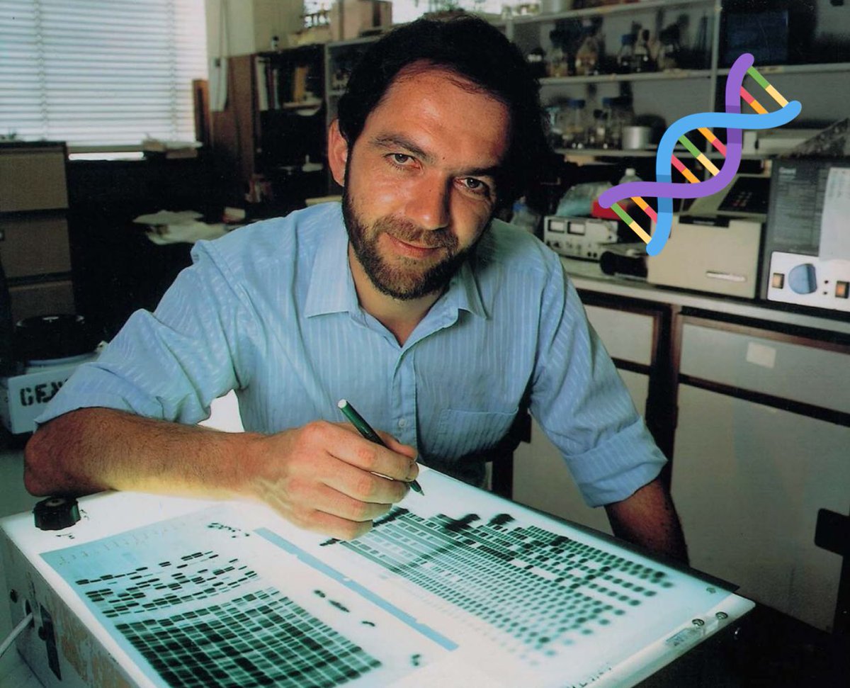Bio_Technocrats's tweet photo. In 1984, Alec Jeffreys, identified the presence of minisatellites within the boundaries of #genes. These minisatellites do not contribute to the functioning of genes and are distributed throughout the cellular #DNA of an organism in a unique and inheritable pattern🔎🥽 #biotech https://t.co/G9us6OmVmO