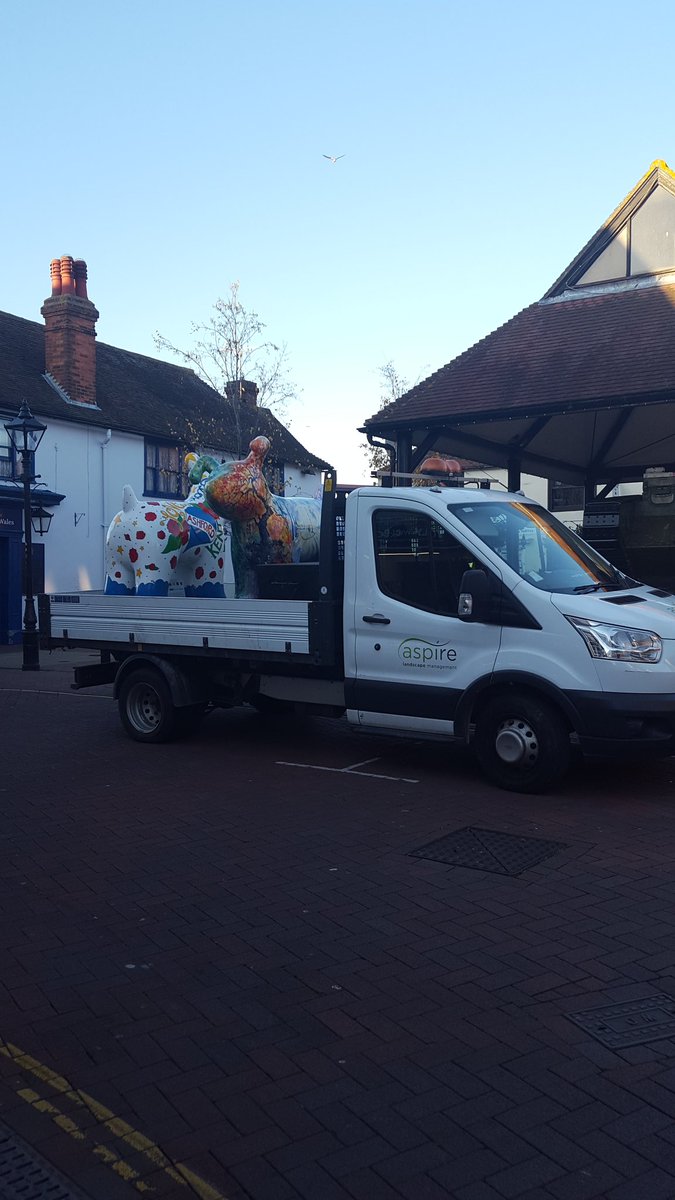 0013ellie's tweet photo. @AshfordSnowdogs #goldie #barkkent #skadog being collected parkmall @ParkMallAshford https://t.co/n9KEPMIzwp
