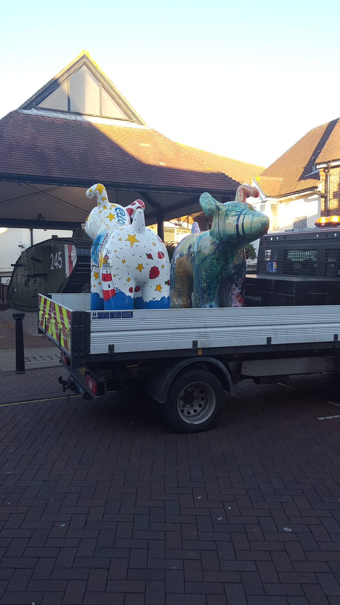 0013ellie's tweet photo. @AshfordSnowdogs #goldie #barkkent #skadog being collected parkmall @ParkMallAshford https://t.co/n9KEPMIzwp