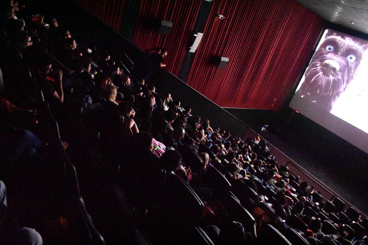 PuntoBohemio's tweet photo. Con una sala repleta realizamos la ceremonia de premiación del @panamaanimation y clausuramos con el estreno de la esperada película "Isle of dogs", una joya de la animación en stop motion. 
¡Gracias totales! https://t.co/HEhHaCo2h9