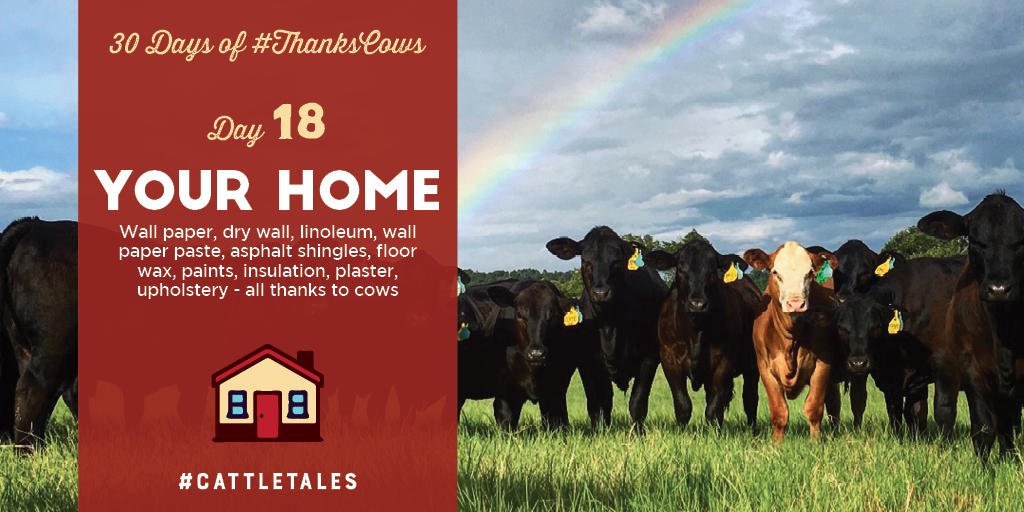 Cattle Tales On Twitter When You Realize How Many Things In Your