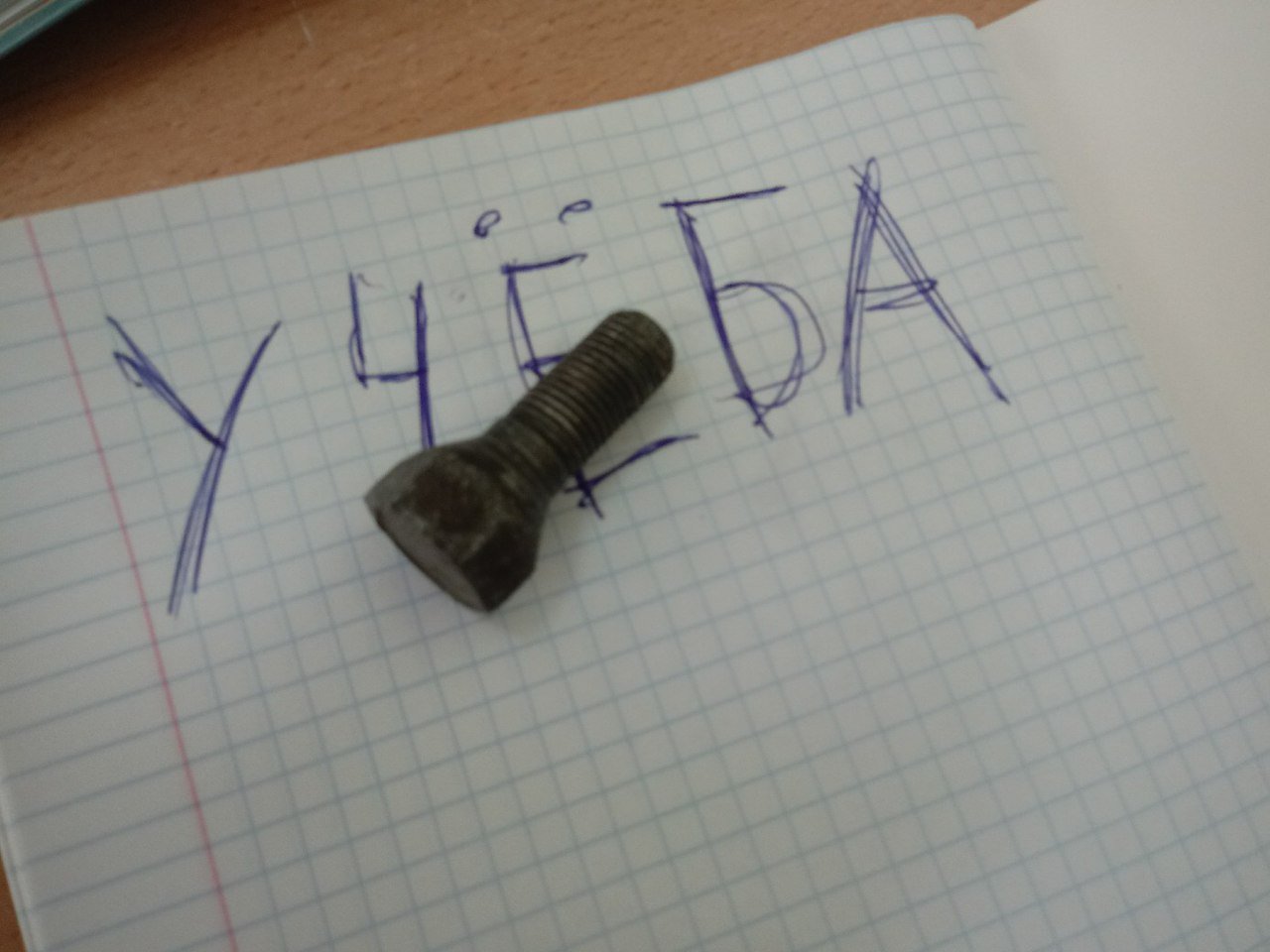 Болт на учебу