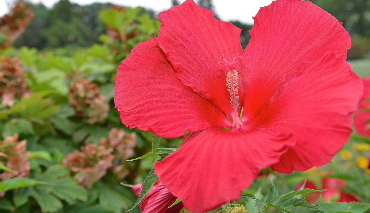 KFP_Inc's tweet photo. #irixmacrocompetition https://t.co/RxMwLaXvsI