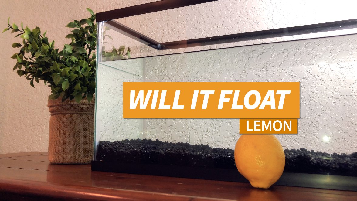 floattimeinc's tweet photo. We put a lemon in a tank to see if it floats! Find out if it did!?
https://t.co/IPDnJ4YMt0
#lemon #floattime #floatorsink #willitfloat #fruit #ScienceSaturday #Science #NewVideo #newupload #factcheck https://t.co/YpuVTwfBom
