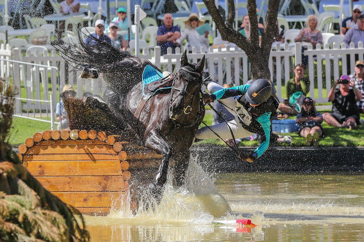 Marcel Berens (@marcelberens) on Twitter photo 3DE Adelaide Equestrian Cross country . CCI . two Star
Rider Katie Slocome on George 1   at the Rymill Park Water Jump
(Both rider and the Horse OK) 3DE Adelaide Equestrian Cross country . CCI . two Star
Rider Katie Slocome on George 1   at the Rymill Park Water Jump
(Both rider and the Horse OK)