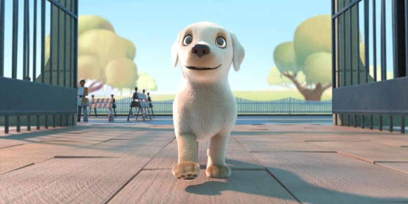 creapills's tweet photo. Ce court-métrage adorable met en scène un chien maladroit qui rêve de devenir guide pour aveugles - https://t.co/9rtzDKVPKD https://t.co/XLw7wb5bBi