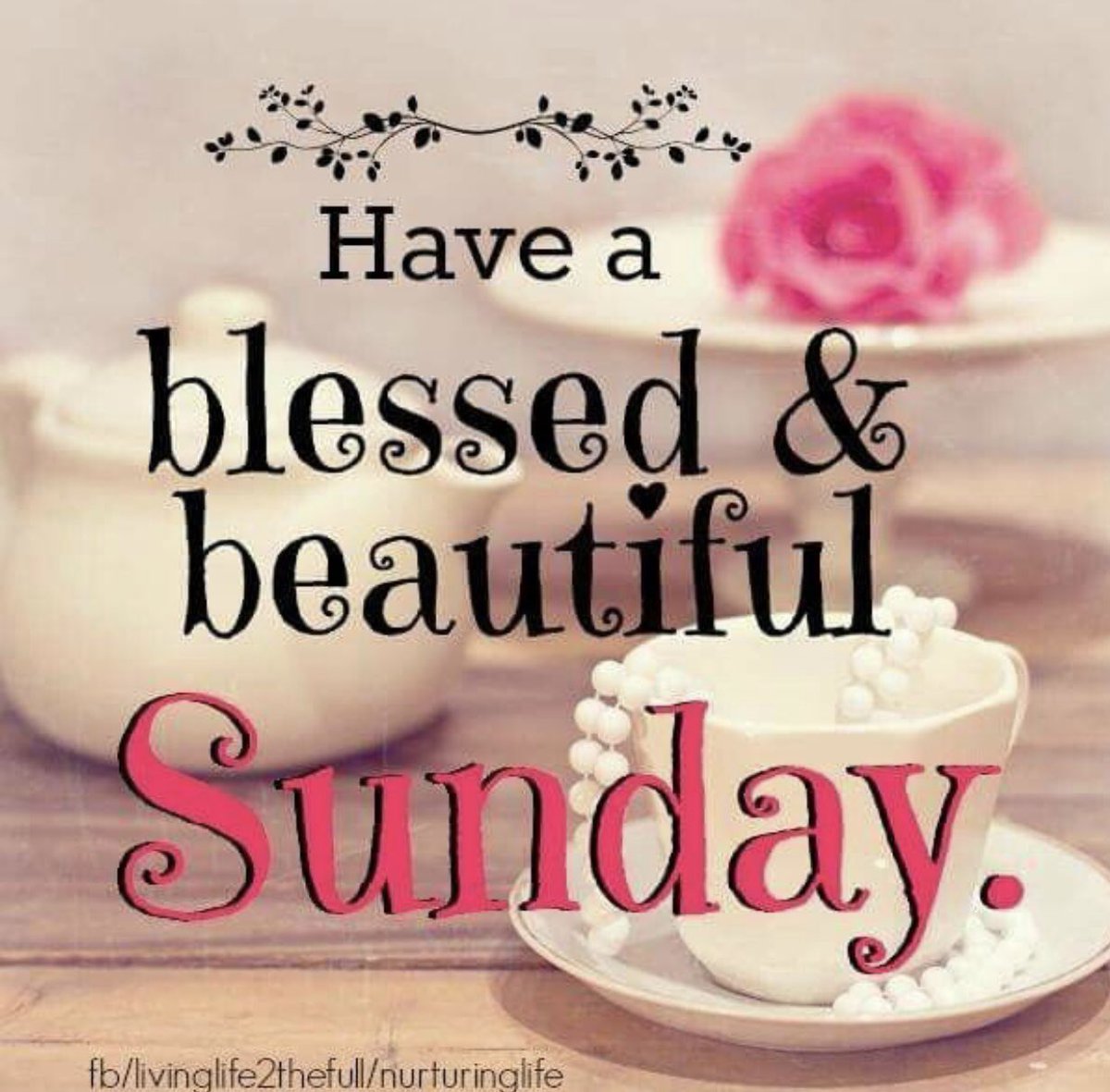BeverlyNoerr's tweet photo. Happy Vibes! #SundayMorning #BeHappy https://t.co/3yx04Q9rFb