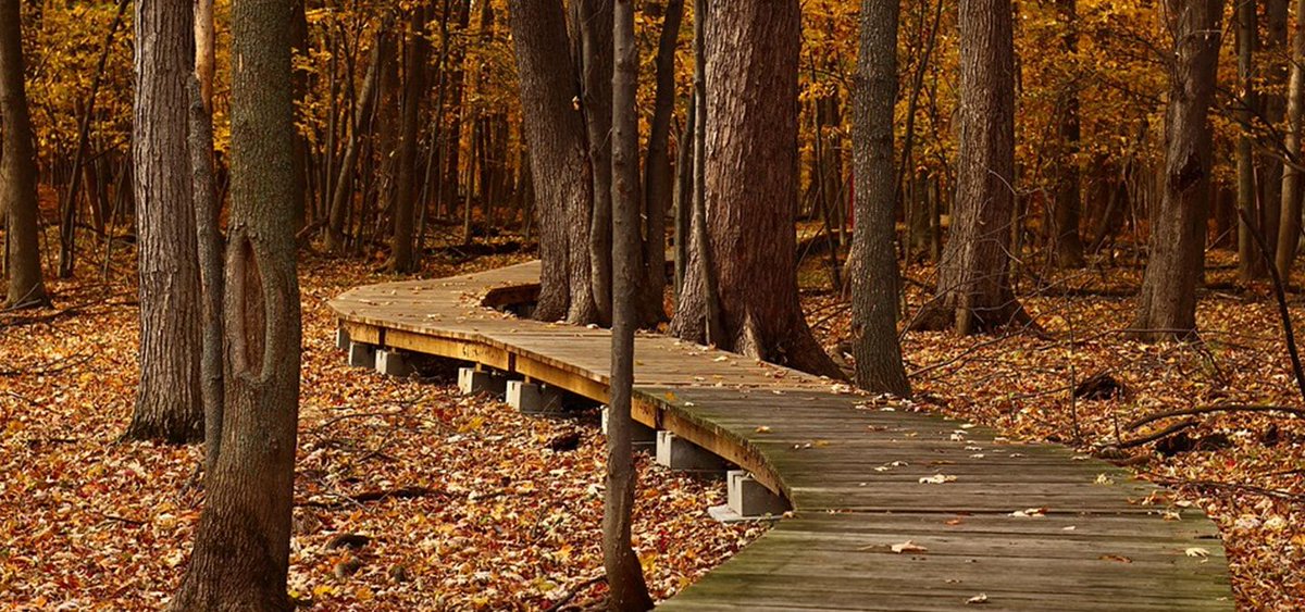 mycheapwebs's tweet image. Cheap eCommerce Website Design Vancouver
bit.ly/2FsqgAZ
#eCommercewebsitedesign #eCommercewebdesign #eCommercewebdesigner #eCommercewebsitedesigner #eCommercewebsite