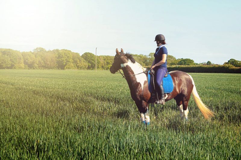 A vibrant creative team based in the UK that provides stunning imagery and social media content for organisations of all shapes and sizes. <a href="/eventslens/">Events Through aLens</a> need no introduction - the work speaks for itself. 

buff.ly/2Dz5LkB

#websites  #photography #equestrian #image