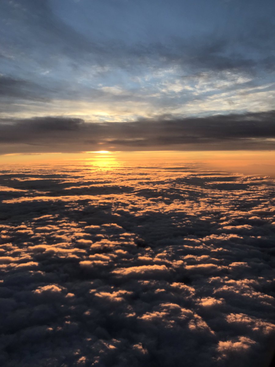 John Torode (@johntorode1) on Twitter photo My new culinary adventure aroud the Middle East starts Monday on <a href="/UKTV/">Official UKTV</a> <a href="/GoodFoodChannel/">GoodFoodChannel</a> #johntorodesmiddleeast My new culinary adventure aroud the Middle East starts Monday on <a href="/UKTV/">Official UKTV</a> <a href="/GoodFoodChannel/">GoodFoodChannel</a> #johntorodesmiddleeast
