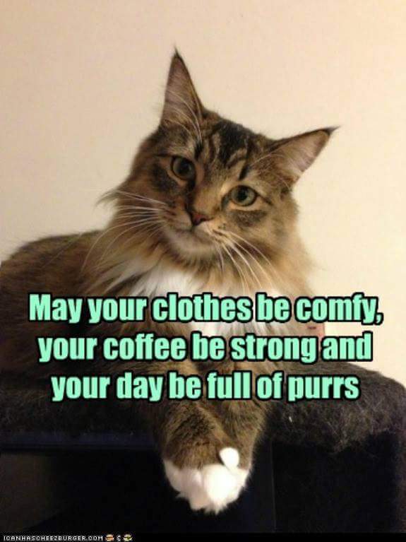 ReadingIsOurPas's tweet photo. @alleycat579 @TammyTu78097268 @MarieDChevalier @FDS_NaturallyMe @Nblackthorne @TheFavelakid @IrisYang86351 @KaceyKells @Oldbrookender Thank you my friend ❤️ https://t.co/FBl1s3G5B1