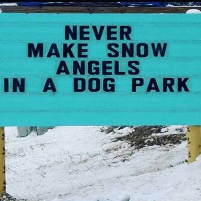 StlOwner's tweet photo. Wisdom. https://t.co/FrDwnqG7oR