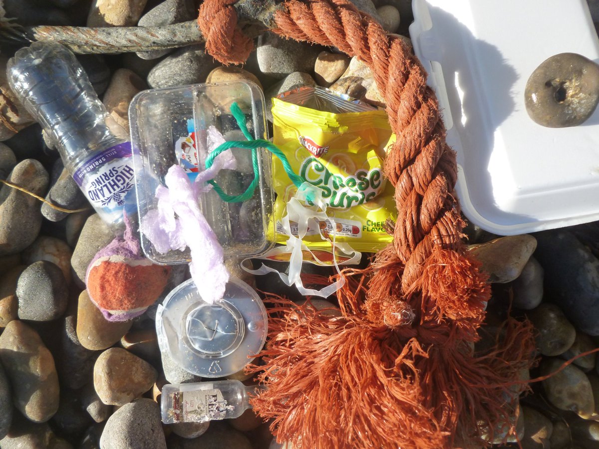 Drowning Our Oceans tweet media