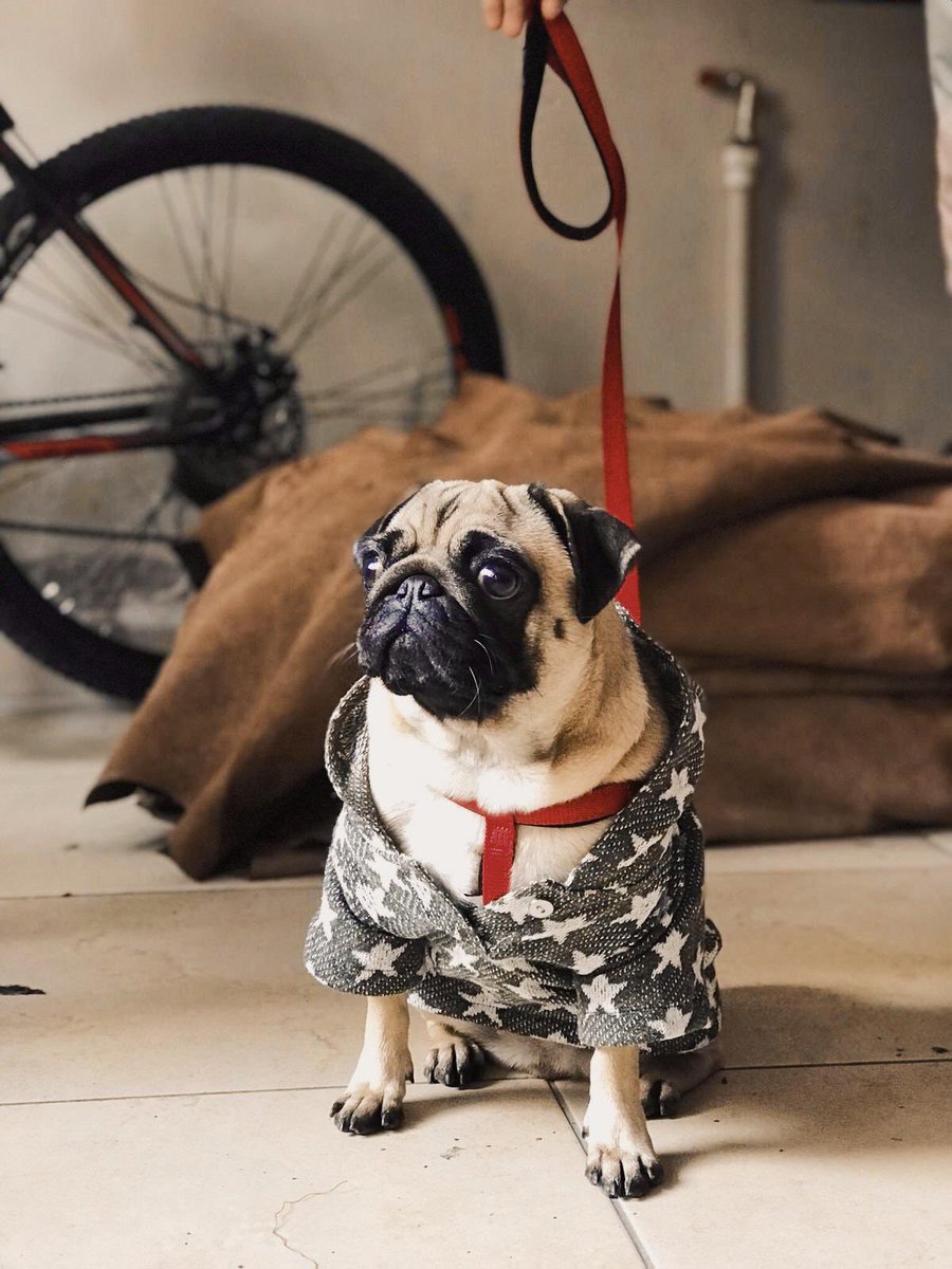 hoşgeldin şapsalım! 🐾🤓