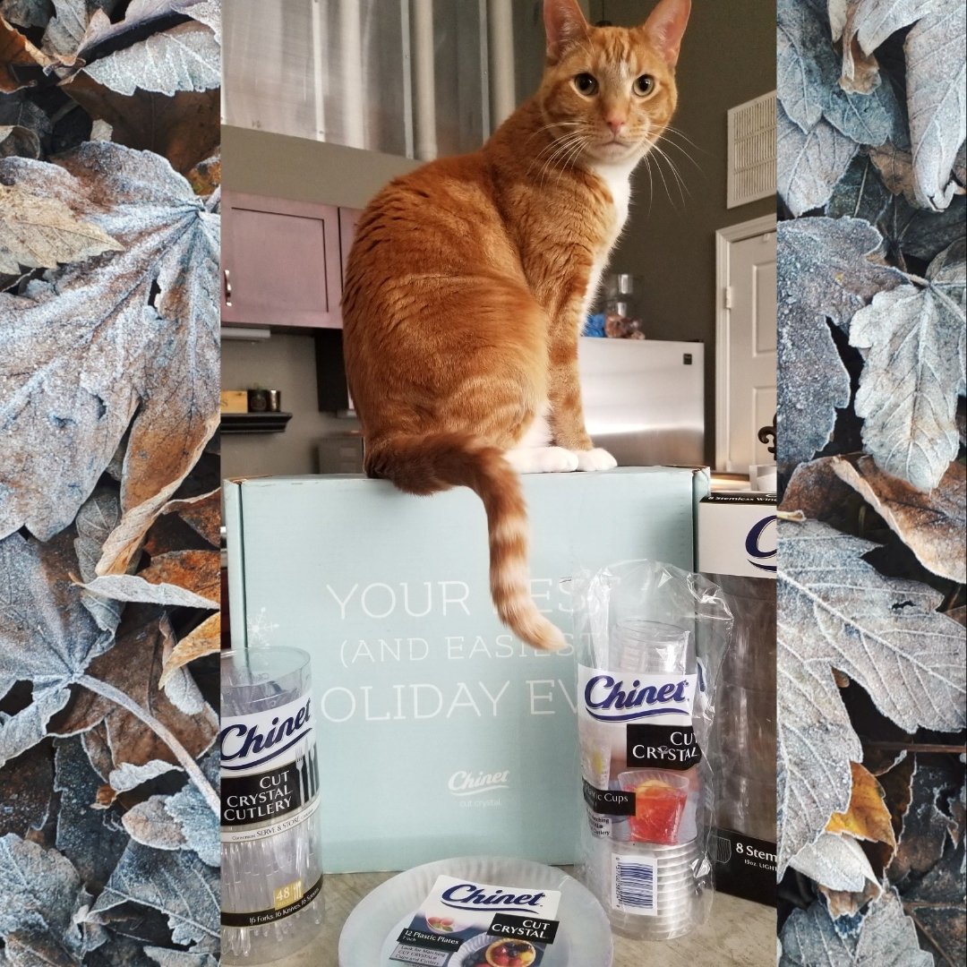 this_box_rocks's tweet photo. someone was super excited to receive the @chinet voxbox! https://t.co/AqLIft9F84