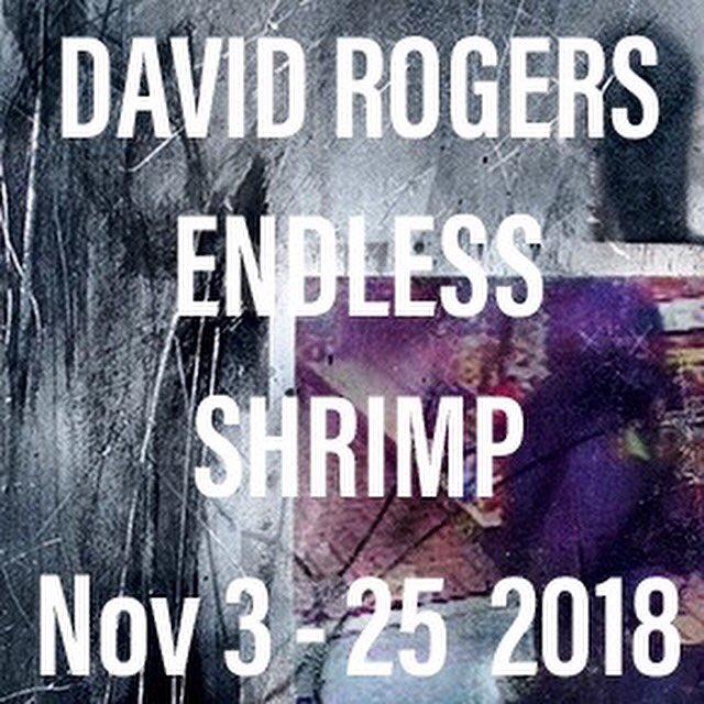 David Rogers #endlessshrimp Continues This Weekend &amp; Next 12-6pm &amp; #byappointment At M E N (13 Monroe St., #nyc ) Please Join Us! 13monroe.men #contemporaryart #contemporaryartist #nyart #nyartist #nygalleries #lowereastsidegalleries <a href="/13monroemen/">MEN</a>