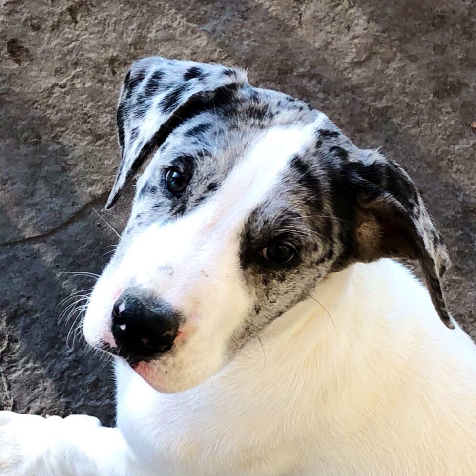 She’s always watching me, Number 7