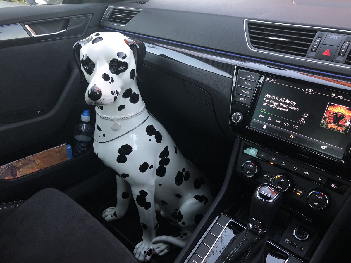 Gareth Everett tweet media