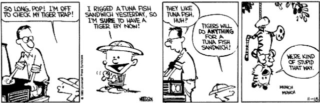 33 years ago today (November 18, 1985), one unique tiger was captured by a precocious boy using a tuna sandwich. That was the start of one incredible series of adventures. Happy Birthday Calvin ! You are the Confucius of the modern age. Some things only get better with age.