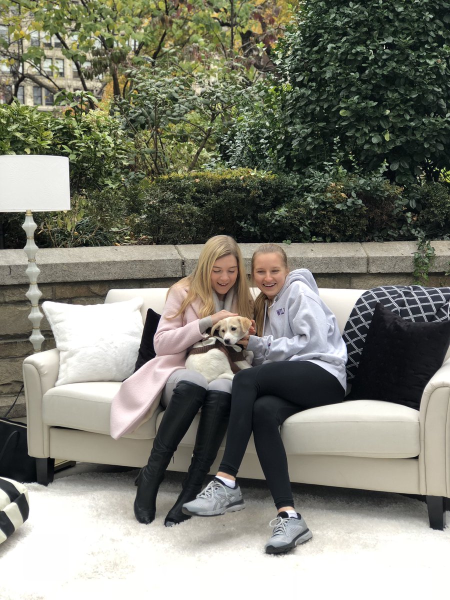UnionSquareNY's tweet photo. Happy Pawlidays from Union Square! Join us and @Compass to shop the @UrbanspaceNYC holiday market. #USQHoliday #DogsofCompass https://t.co/CrAMSqxI46