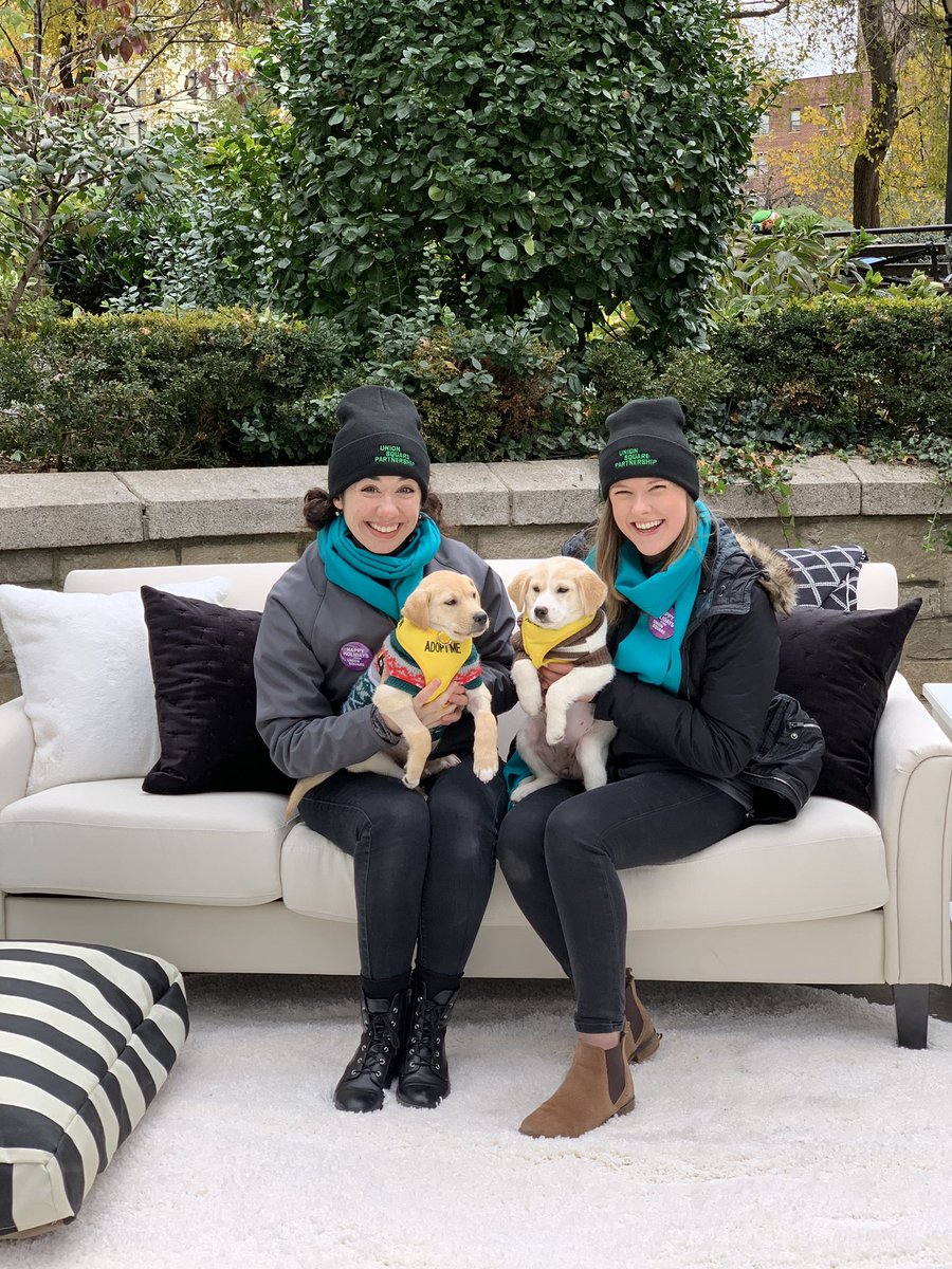 UnionSquareNY's tweet photo. Happy Pawlidays from Union Square! Join us and @Compass to shop the @UrbanspaceNYC holiday market. #USQHoliday #DogsofCompass https://t.co/CrAMSqxI46