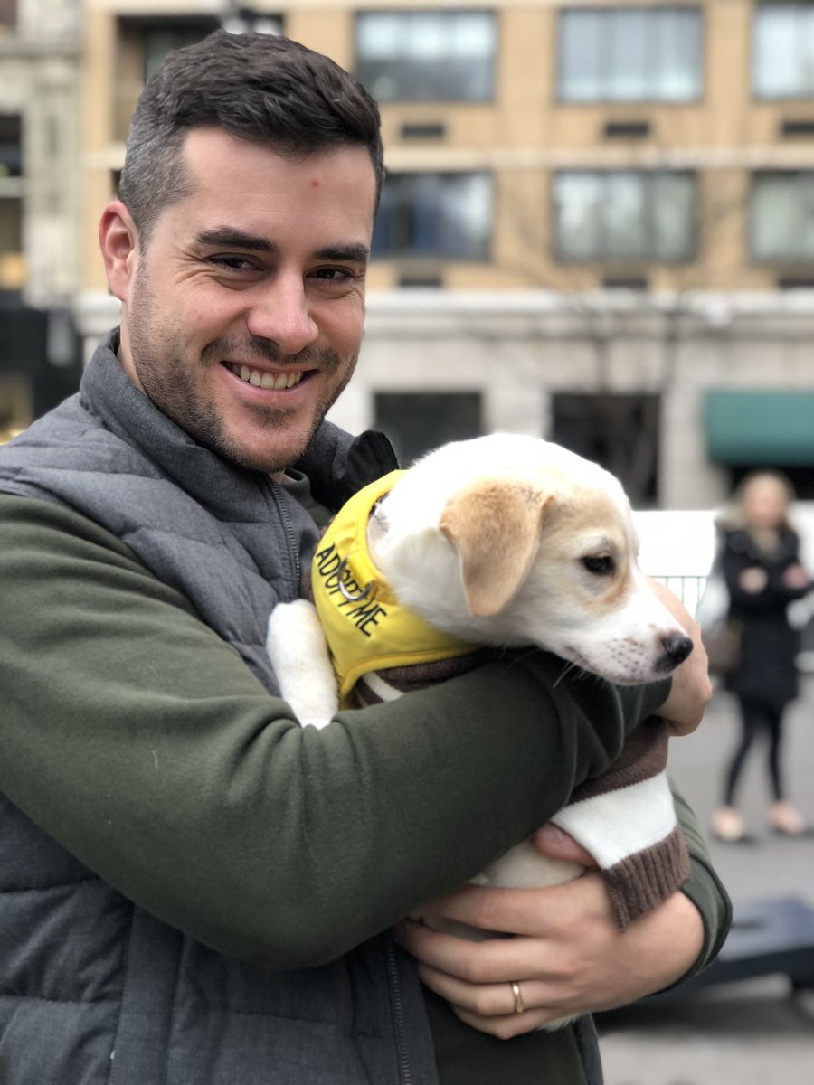 UnionSquareNY's tweet photo. Happy Pawlidays from Union Square! Join us and @Compass to shop the @UrbanspaceNYC holiday market. #USQHoliday #DogsofCompass https://t.co/CrAMSqxI46