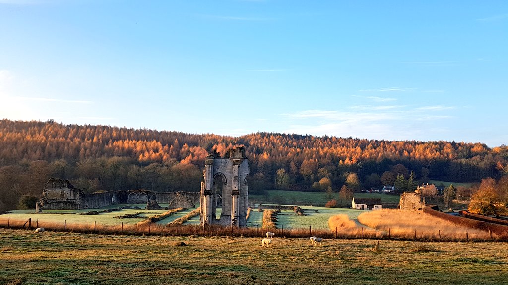 northyorkswx's tweet photo. A cold frosty start to day in #KirkhamAbbey this morning with a thin layer of radiation fog along the valley bottom.
@PhotoRichSmith @CliveRhymester @Alpacaperfect @StoneTroughInn @Hudsonweather @OwainWynEvans @kcrewders @JonMitchellITV @weathertrending @liamdutton @juliatetley https://t.co/Ypcg6FXUjF