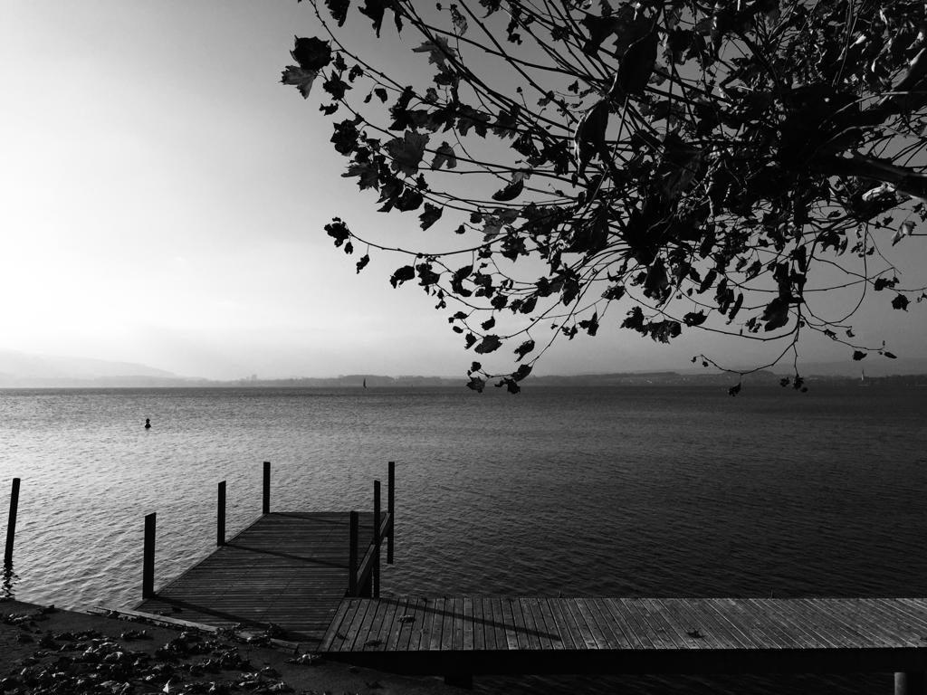 SusanneRidder's tweet photo. #blackandwhitechallenge 
thank you @SRistelhuber for nominating
how about you, @jlmont22 ? 
day 1⃣/7⃣ 
🗓️ 7 days 
📸7 pictures  
⛔️ no people 
⛔️ no text https://t.co/3VRoZqzkeq