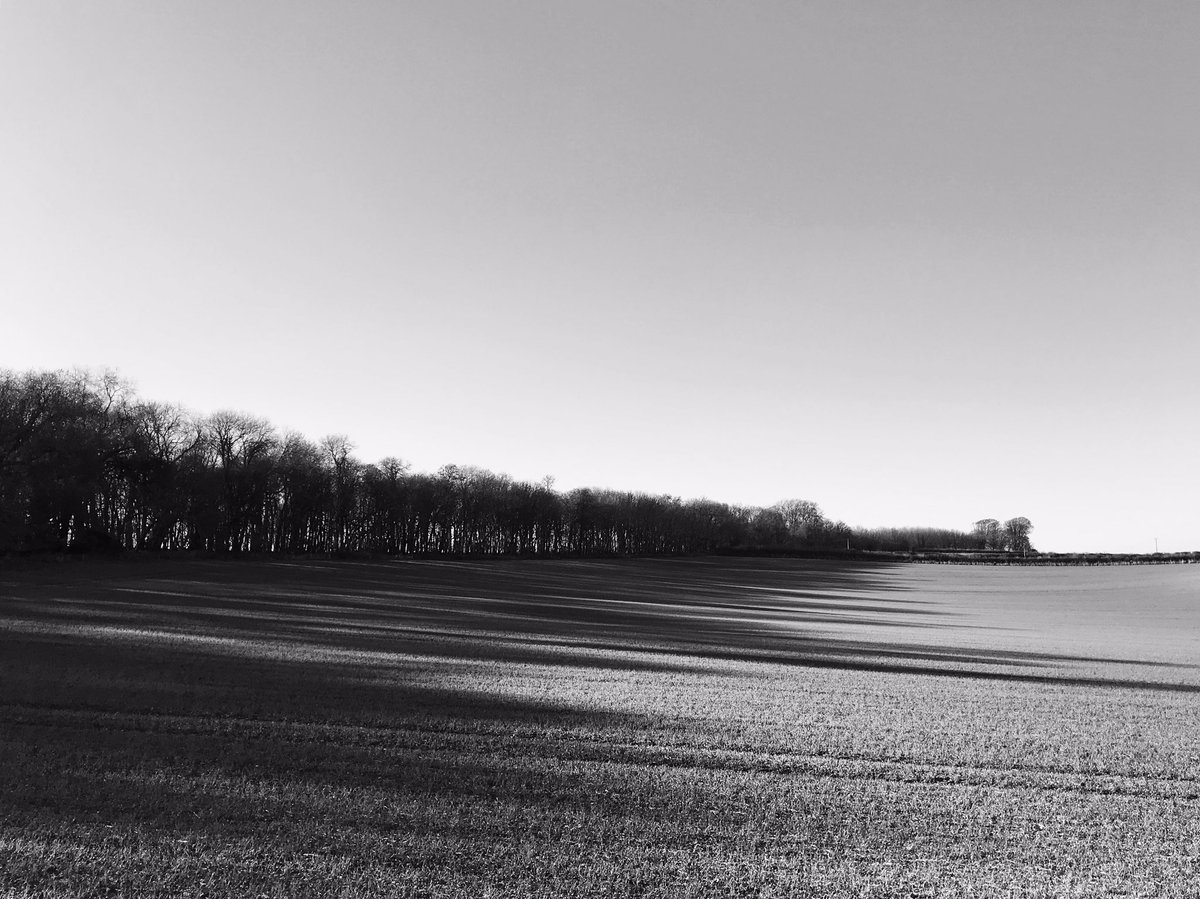 Crops in Shadow. Came Down, Dorset. 2018. #landscape #field #shadow #autumn #blackandwhite