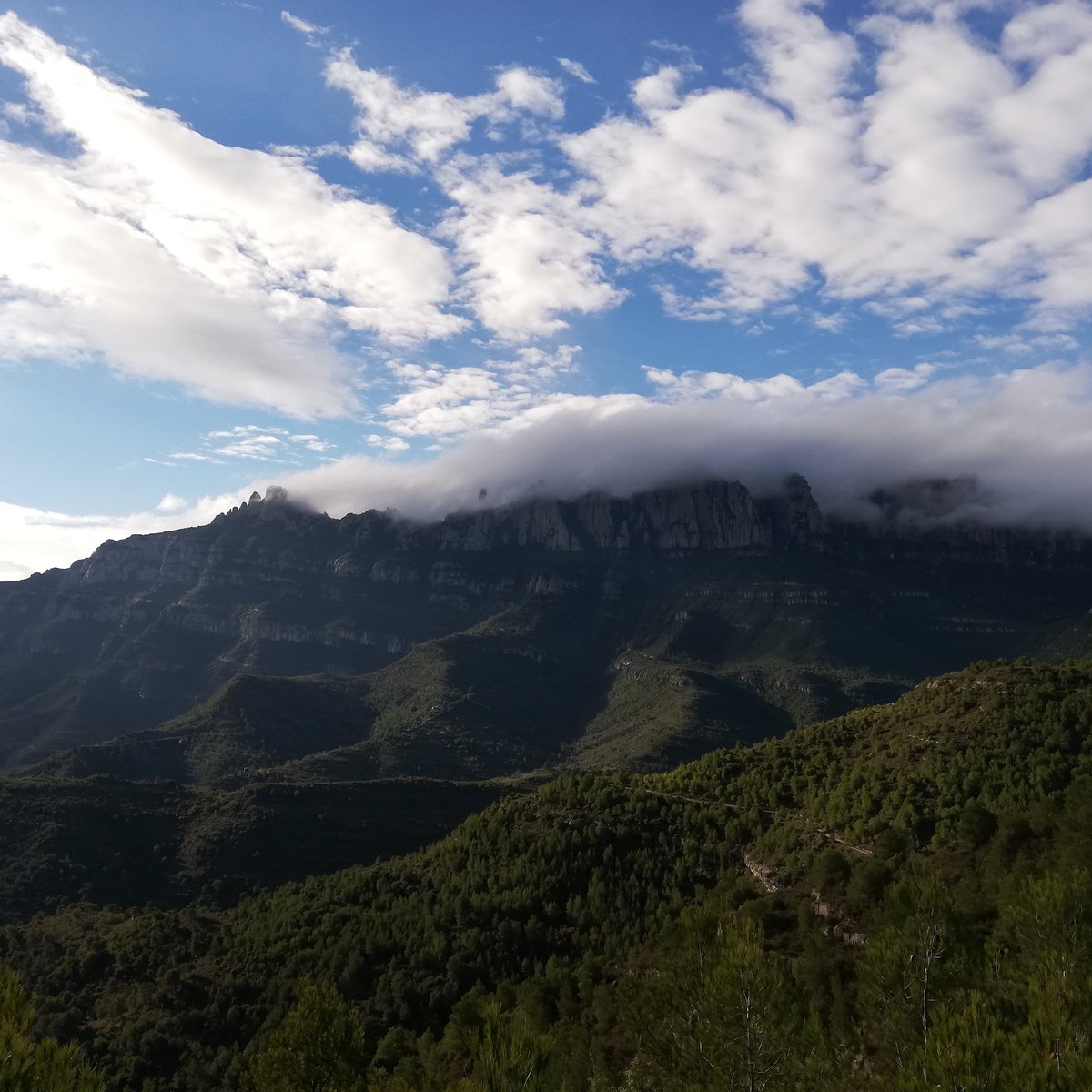 JuntsxCastllbll's tweet photo. #CastellbellIElVilar gaudeix d'un entorn immillorable i aquest s'ha d'aprofitar en el bé comú de tots els nostres ciutadans, amb sostenibilitat i cura del medi hem de saber explotar els nostres recursos. Sempre endavant! #JuntsxCastellbell #naturalremedies #entorn https://t.co/eslpzYtEvv