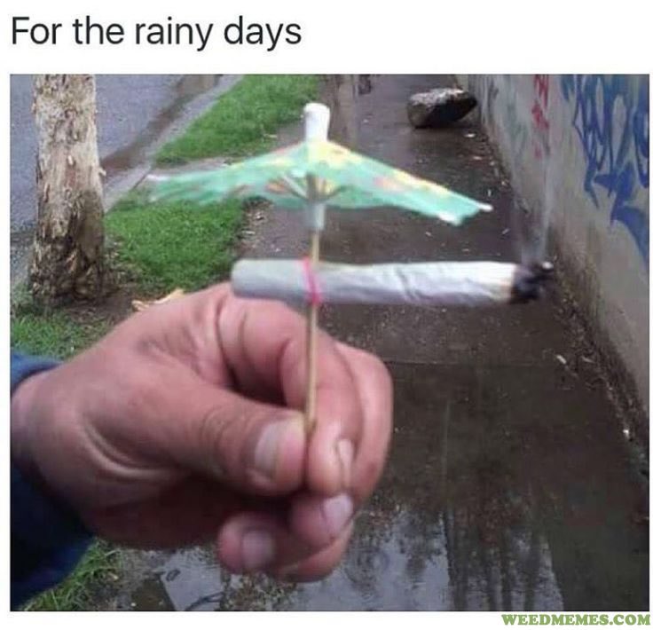 ganjaqueens420's tweet image. #LifeHacks