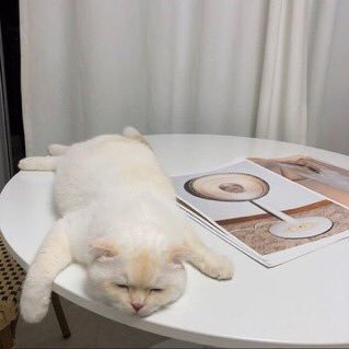 A que hora llega el almuerzo a la  #MesaCentral Tenemos apetitooo 😔😔😔