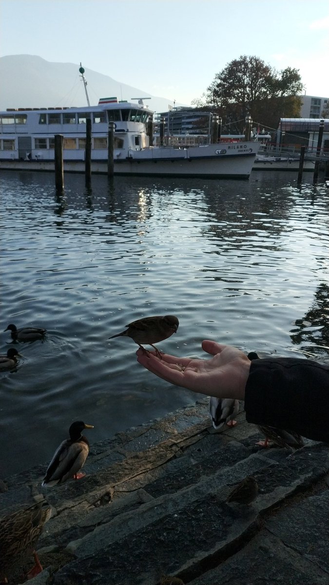 epub Untersuchung über die Einsatzmöglichkeiten elektronischer Datenverarbeitungsanlagen zur dynamischen Produktionsprogrammplanung