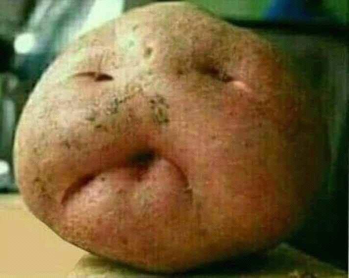 TheWarriorCS's tweet image. सोना  ना  बन   पाने  के  कारण   राहुल गांधी से नाराज़ एक आलू ..

@RahulGandhi please do the needful #PACHATTIS 

#Chhattisgarh