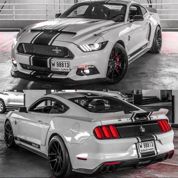 dailymustangs's tweet photo. Super Snake 😍👌 https://t.co/iHwkczWrDD