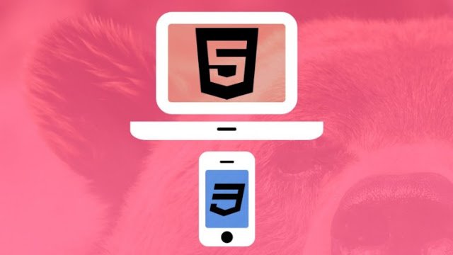 couponfree01's tweet photo. Udemy Free Discount - BEST SELLER - Development - Web Design for Beginners: Real World Coding in HTML &amp; CSS - #udemycoupon (https://t.co/Ccl3W4ZuNC)

#html5 #development #webdevelopment #javascript #Angular #React  #PHP #Django #Nodejs #PHP #CSS #vuejs #100DaysOfCode https://t.co/YNvAD2ttnj