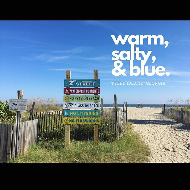oceanfronttybee's tweet photo. Nothing soothes the soul like a walk on the beach..😌 #getaway #tybeeisland #savannah #georgia #beachbum https://t.co/lMyW8milIP https://t.co/MgxHtz9yrT