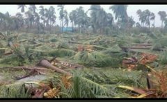 bewithswami's tweet photo. #கஜா_புயல்_பாதித்தோருக்கு_உதவுங்கள்
#CycloneGaja
#CycloneGajaUpdates
#SaveDelta
#WeNeedToStandWithDelta https://t.co/wTeFoABl4S