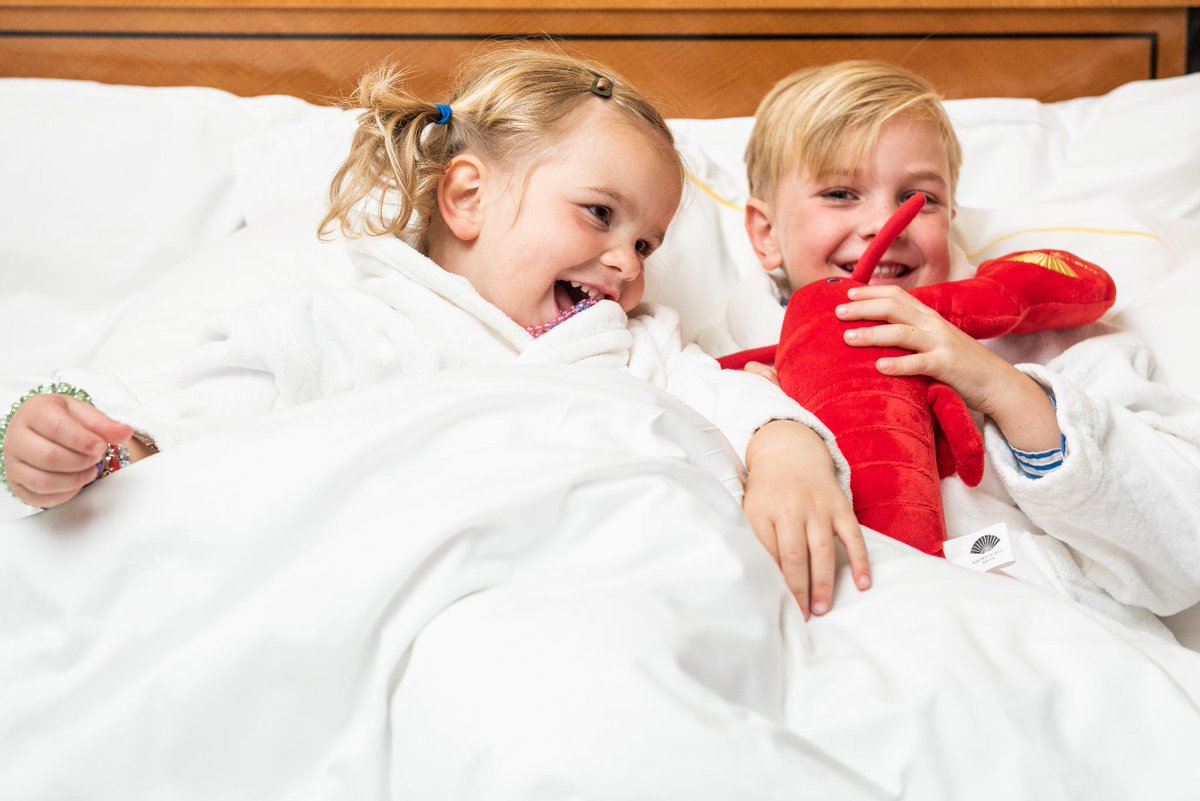 MO_BOSTON's tweet photo. Traveling with the family during the holidays? We welcome our #MOmini guests with our Very Important Young Persons amenities at the hotel - catch your own plush #MOlobster at check-in, and much more! https://t.co/qE60gXMngL