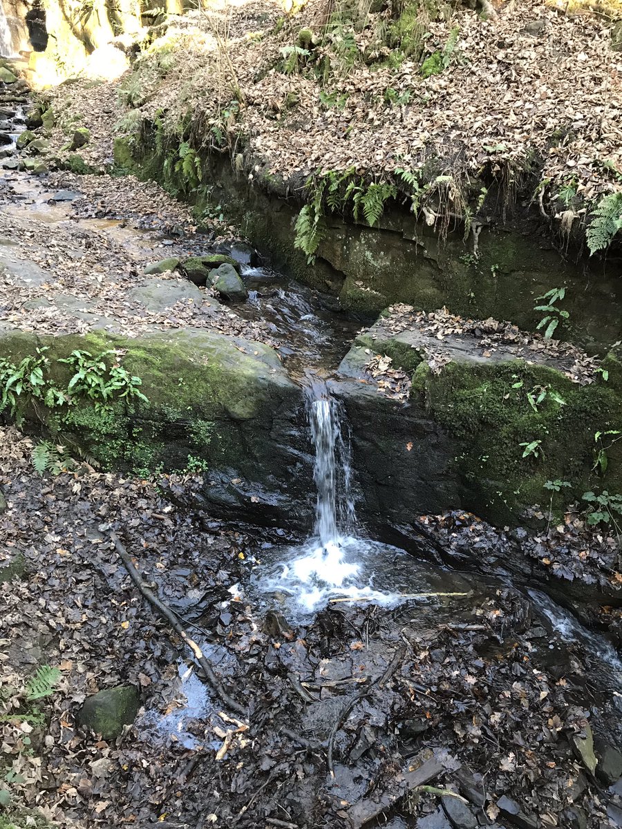 bingowings14's tweet photo. You wait all day for a waterfall & then two appear all at once. #dontgochasing https://t.co/1L8sJPIvsW