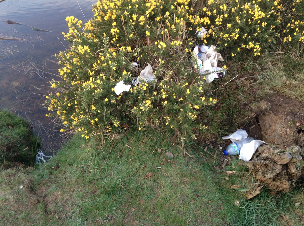 When out on the #NewForest if you see litter pick it up, even if it's not yours. The free-roaming animals/wildlife will thank you for it! Please RT.